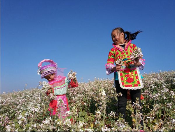 姐妹追花携春行，童趣亲情一路飞_副本.jpg