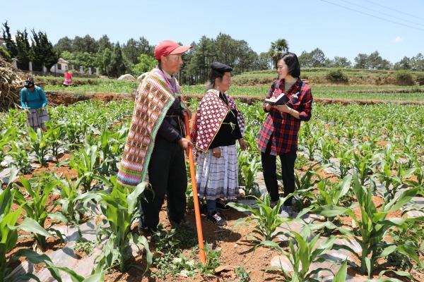 5.田间地头访民情.jpg