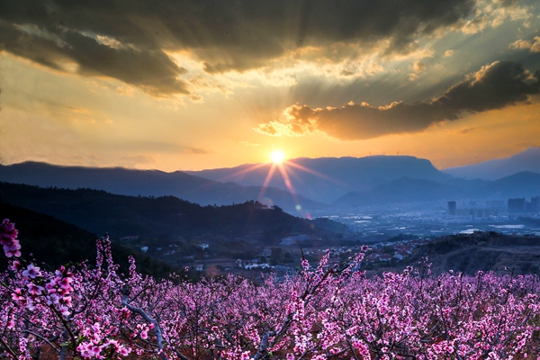 桃花流水，不出人间.jpg