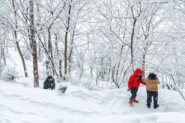 踏雪赏景醉游人_副本.jpg