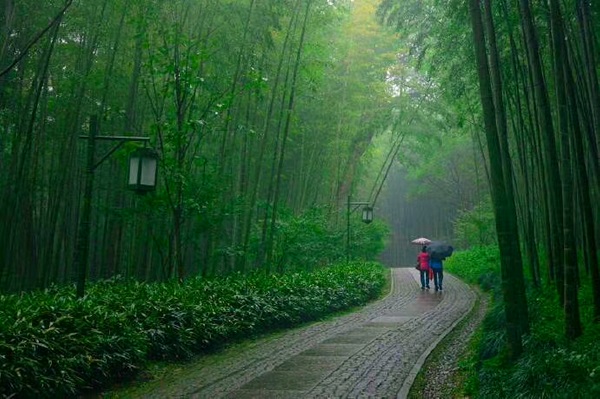 好雨知时节，当春乃发生。（朱宇  摄）.jpg