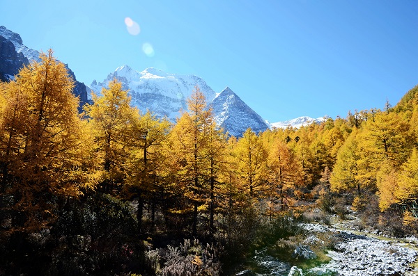 昆明东川  树树皆秋色，山山唯落晖。.jpg